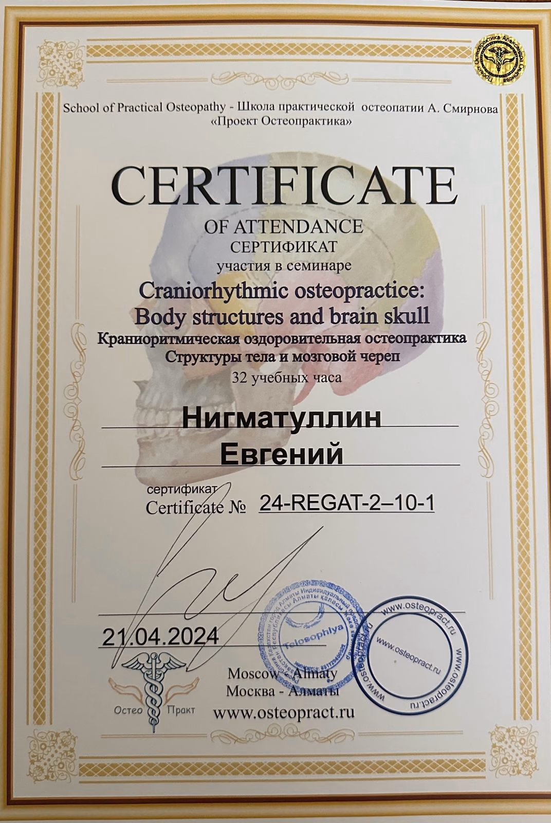 Сертификат дополнительного обучения Евгения Нигматуллина №10