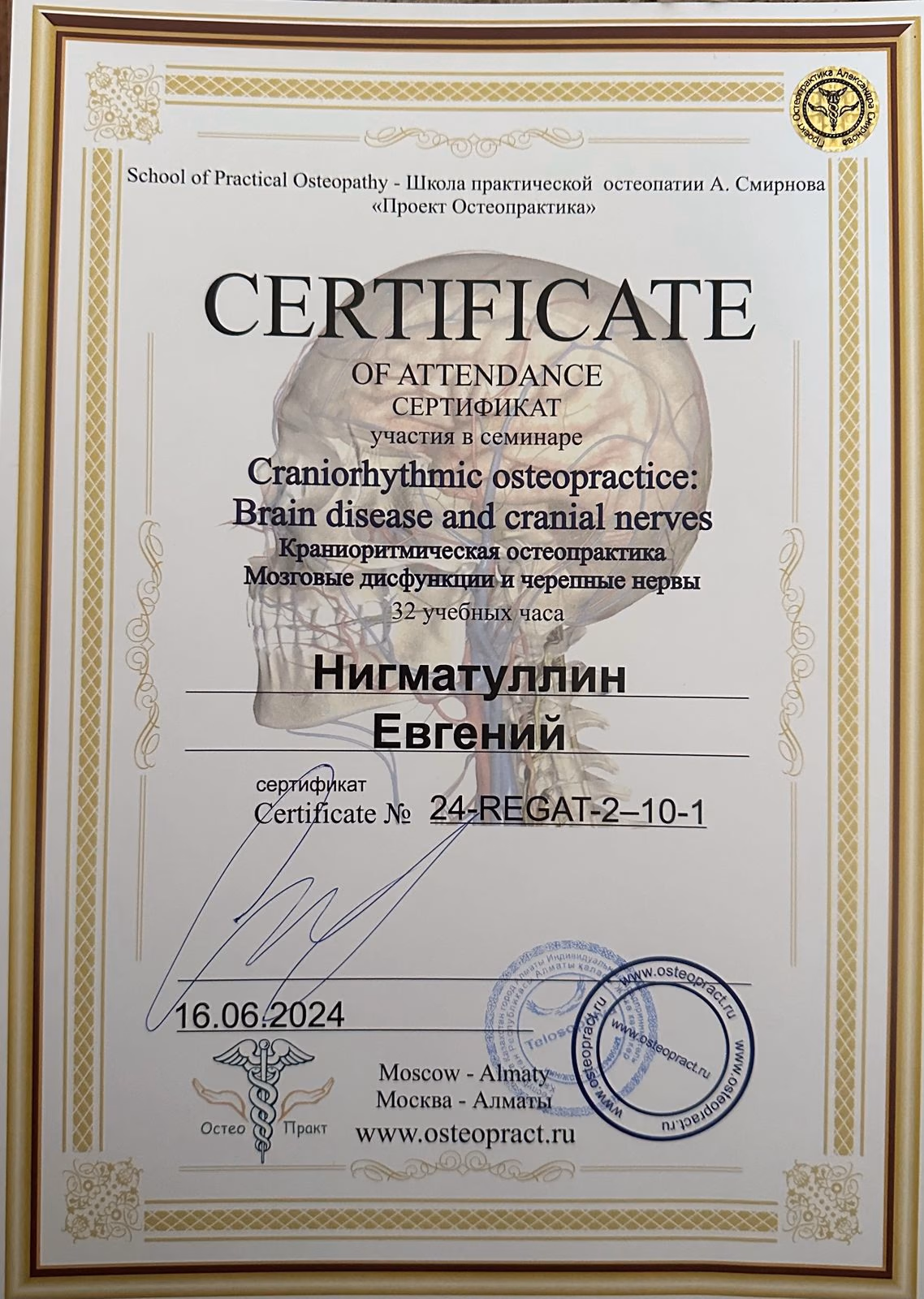 Сертификат дополнительного обучения Евгения Нигматуллина №5