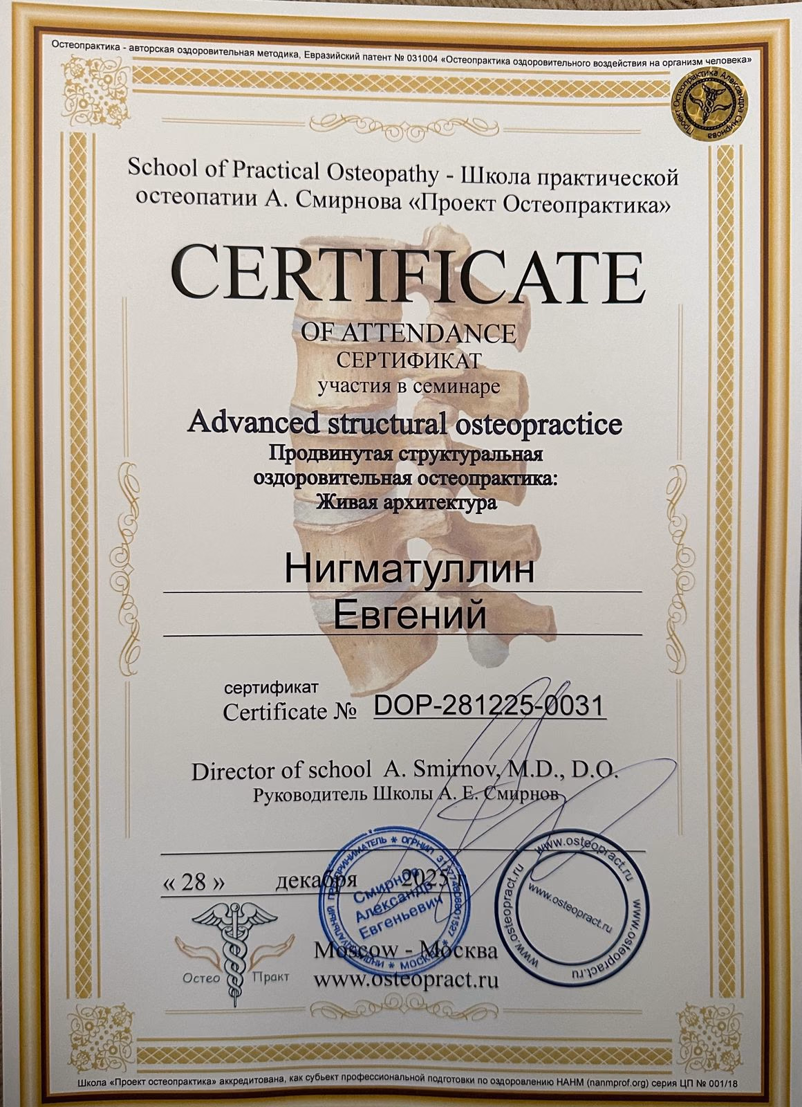 Сертификат Doctor Osteopractice Евгения Нигматуллина